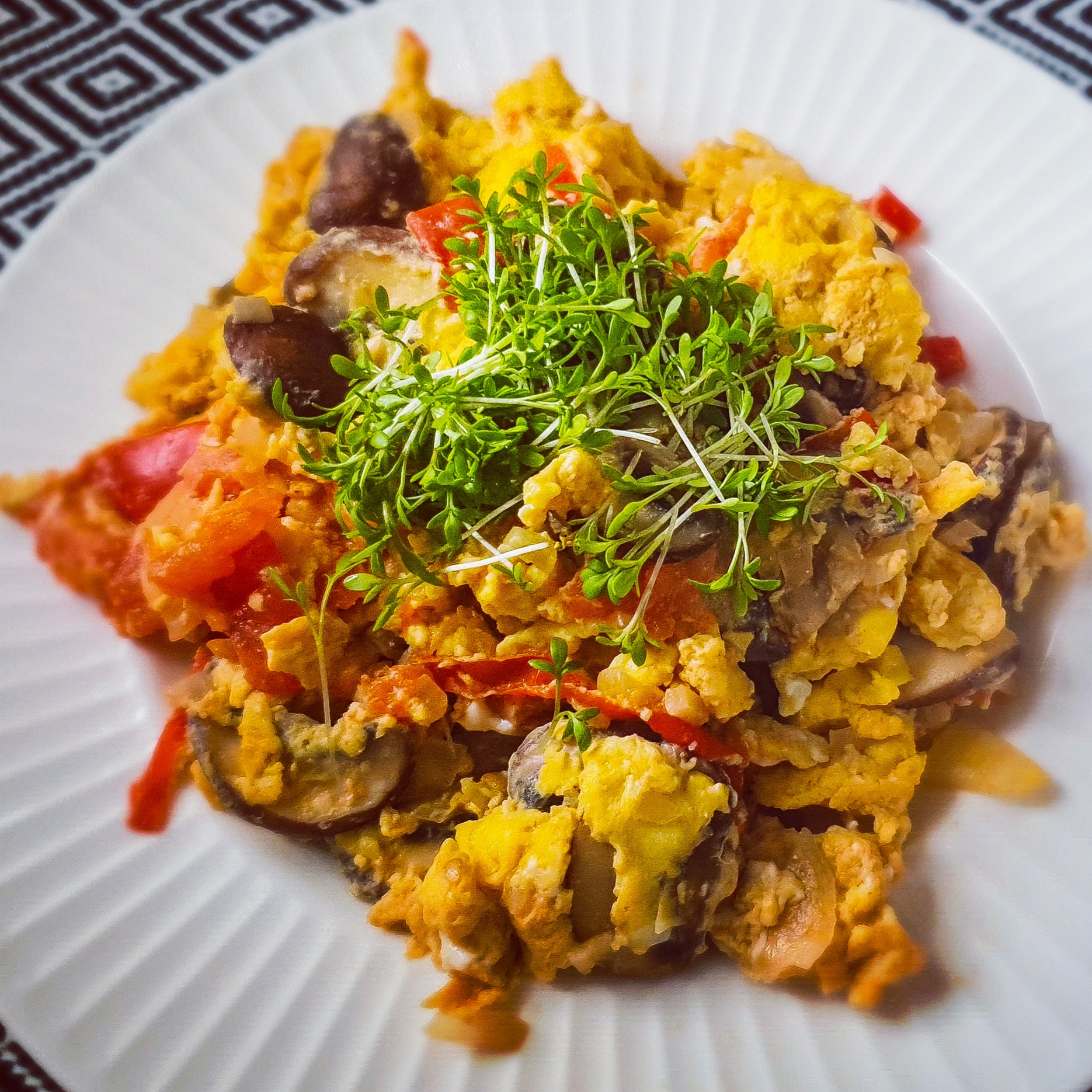 Omelett mit Käse, Kurkuma Champignon und Kresse » Mein Kochuniversum